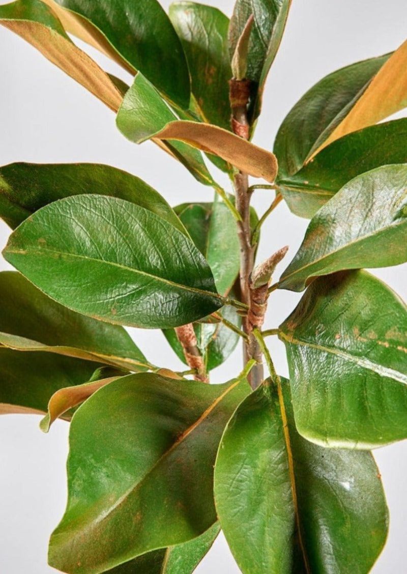 Artificial Green Magnolia Leaves Branch