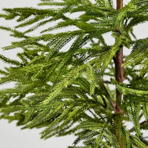 Closeup View of Real Touch Pine Foliage in Afloral Norfolk Tree