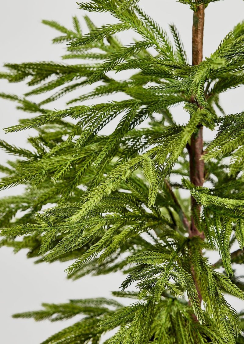 Closeup View of Real Touch Pine Foliage in Afloral Norfolk Tree