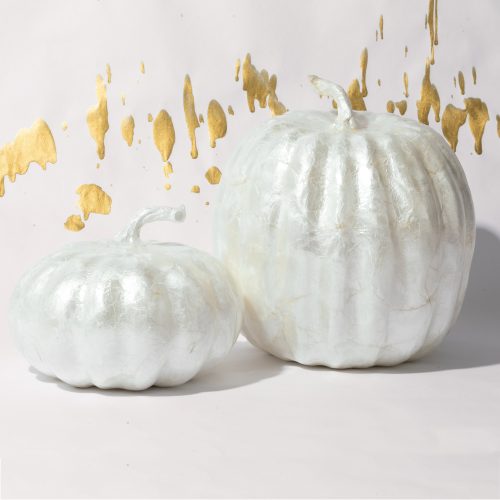 JB fall2020 pumpkins white 01 sq 38f6df09 6b72 48d7 ba2e b0479759453d