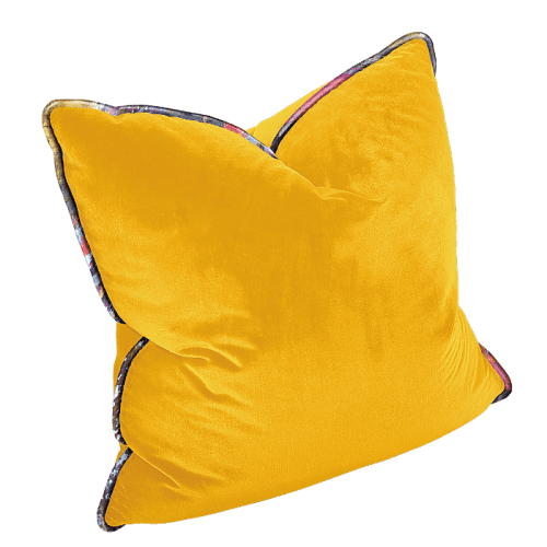 NEW Velvet Pillow Images f2de56b0 2892 4b8d 9eeb b8256de13b3c