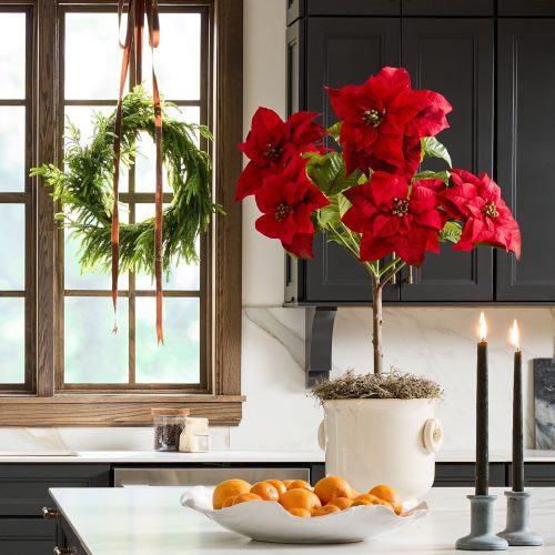 TRG Potted Poinsettia Norfolk Wreath Premade Norfolk Winter Kitchen 2024 2 696485e4 9b6f 47be 8ab3 4047e3831cf1