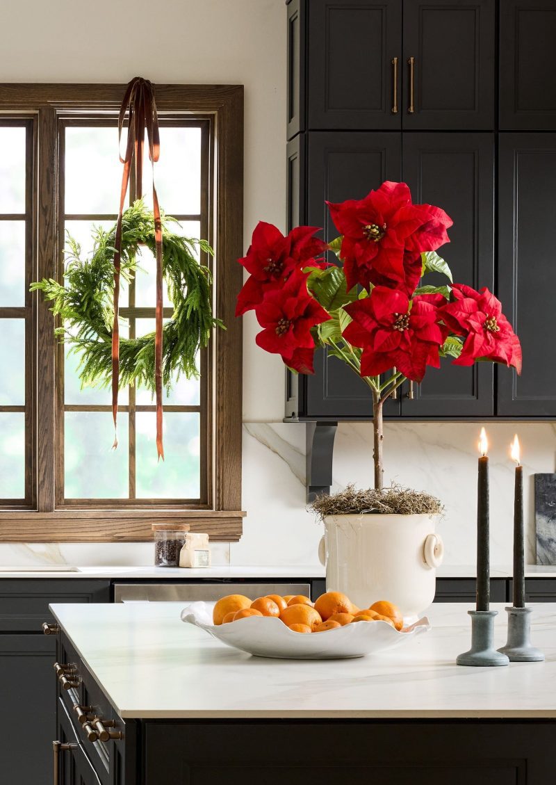 TRG Potted Poinsettia Norfolk Wreath Premade Norfolk Winter Kitchen 2024 2 696485e4 9b6f 47be 8ab3 4047e3831cf1