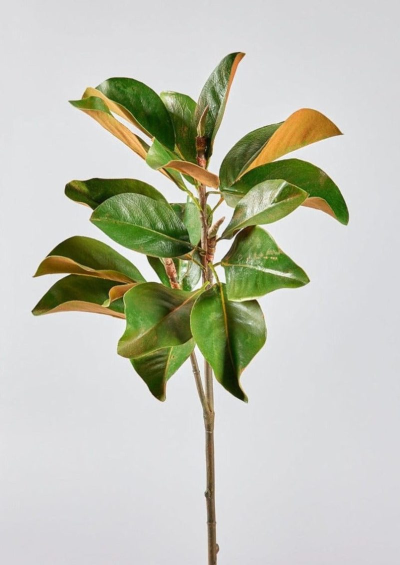 WIN 95078 GR Faux Magnolia Leaf Branch