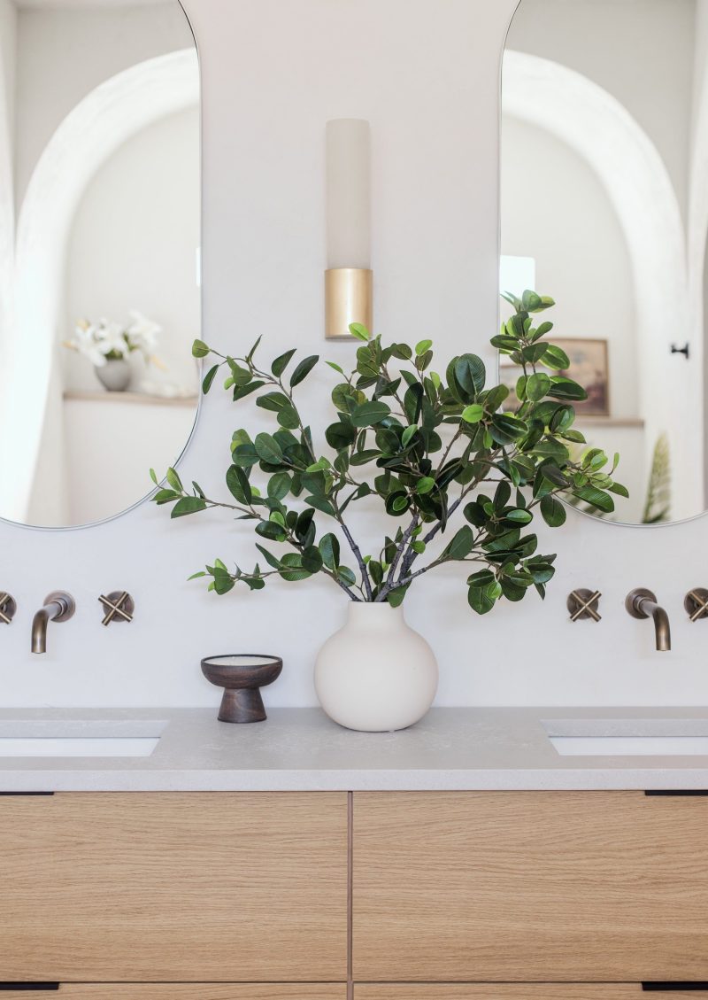 jennasuedesign Italian Ficus Everyday Accents Bathroom 2023 5