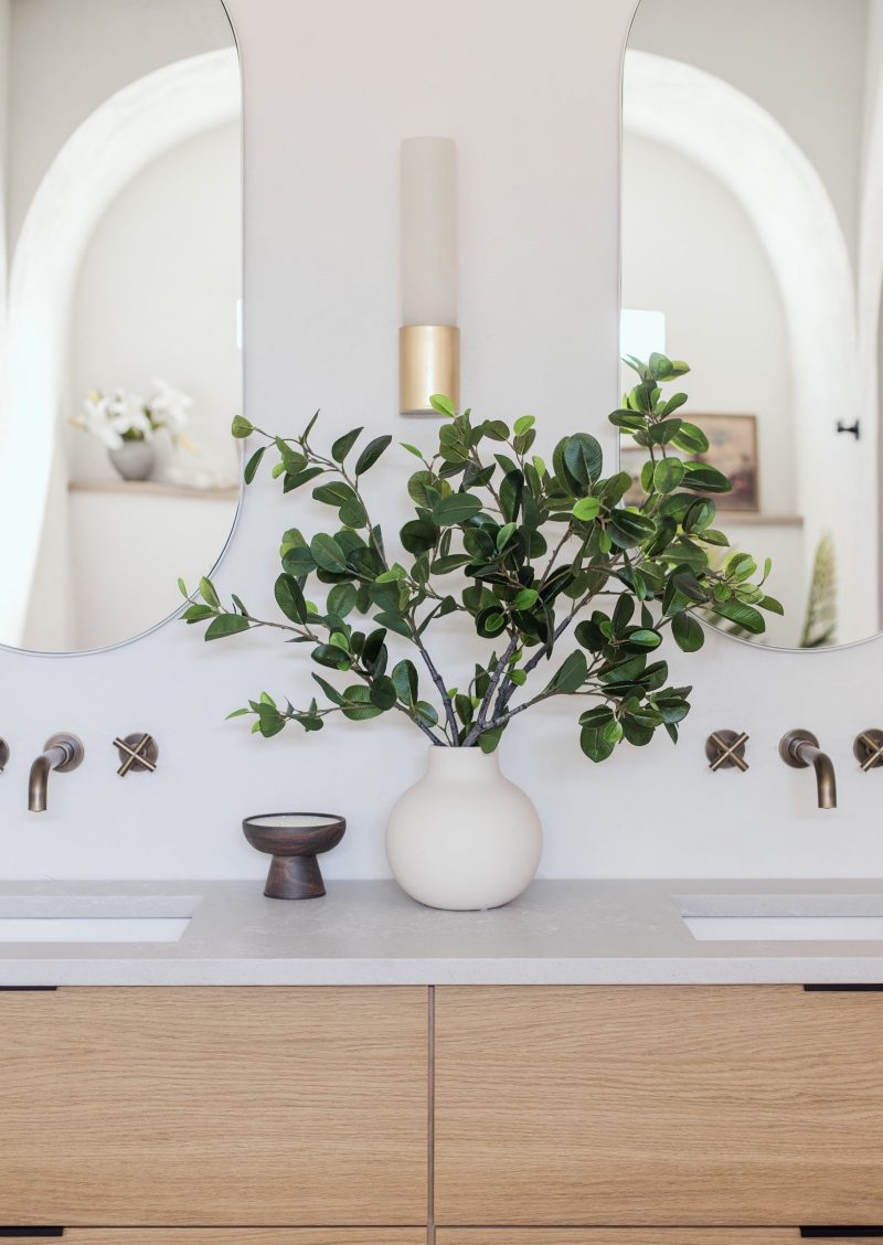 jennasuedesign Italian Ficus Everyday Accents Bathroom 2023 5 7839278b 56b7 4f9e b8d8 1df3ea08854e