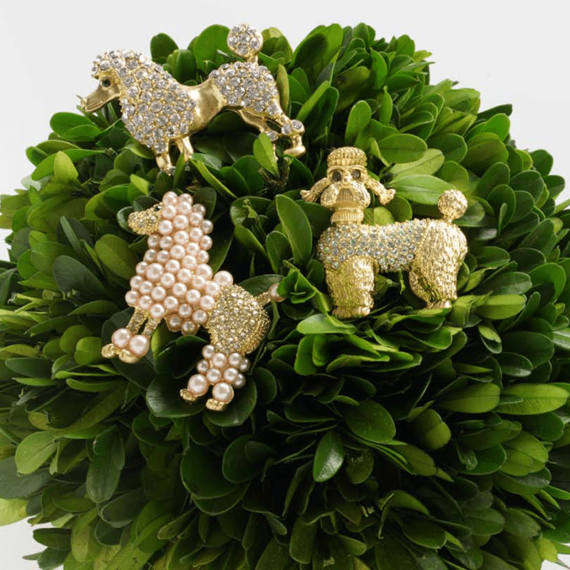 poodledogboxwoodset 4c6b1e78 3bbf 47a0 a995 587e78795f7f